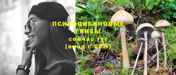 прущий лед Каменка