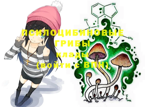 прущий лед Каменка