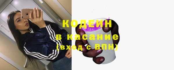 прущий лед Каменка