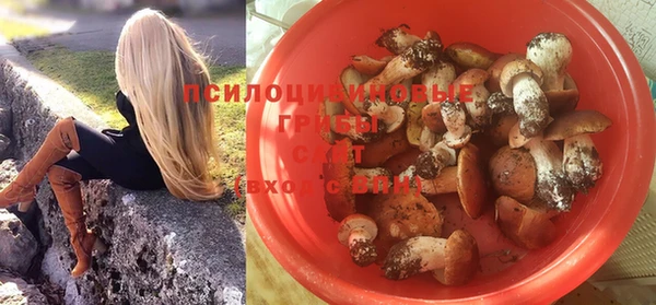прущий лед Каменка