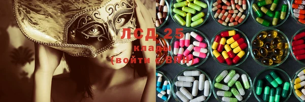 прущий лед Каменка