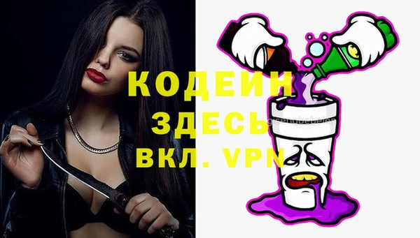 прущий лед Каменка