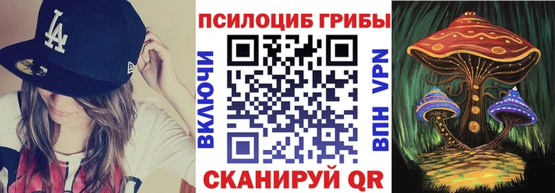 Галлюциногенные грибы GOLDEN TEACHER  Купить где  Галич 